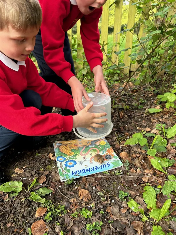 Gallery - created at 2024-04-26 14:31:01 - image 1