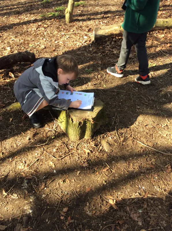 Year 2 - Photo Gallery - image 10