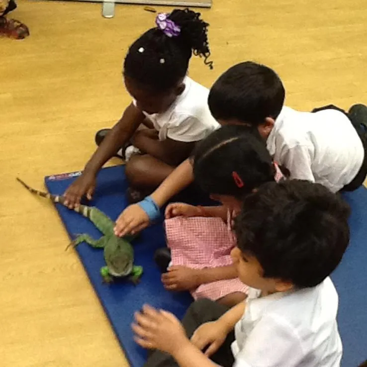 Nursery's visit from the Tropical Zoo - image 1