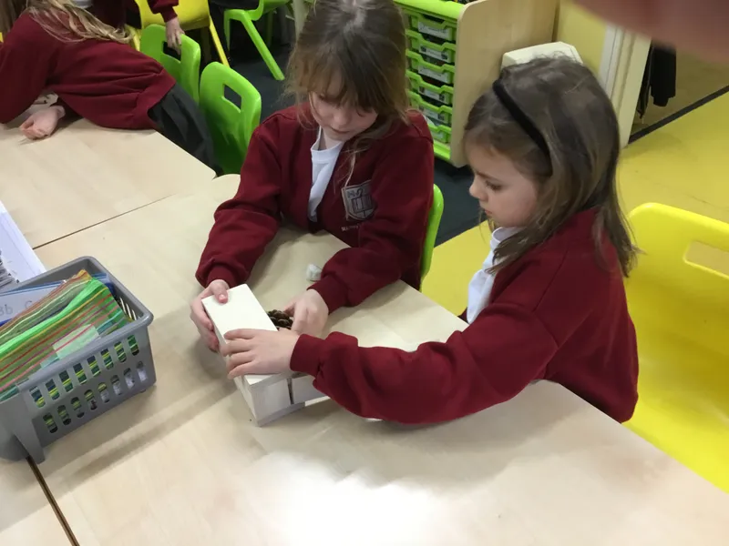 See our work in progress in this gallery! - image 72