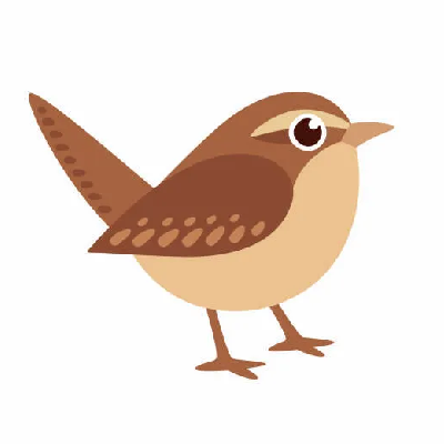 Wren Class              Reception