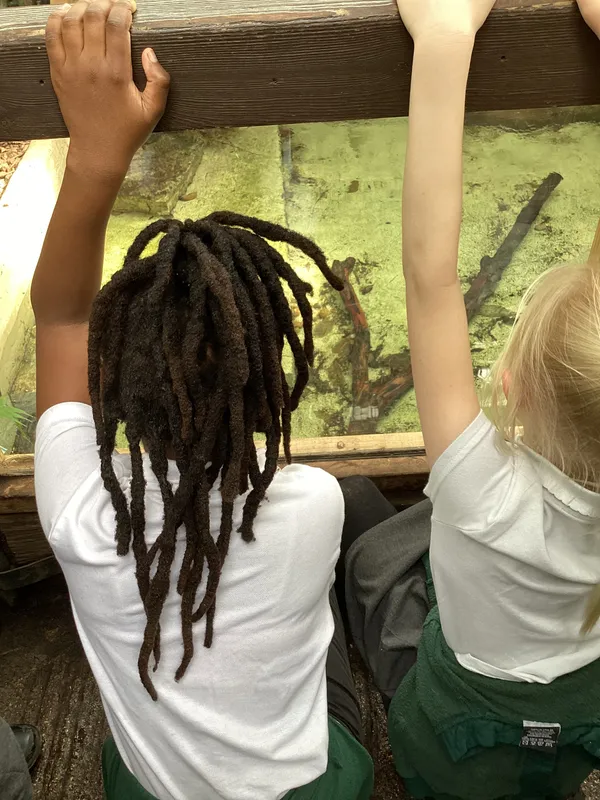 Gallery - created at 2025-03-14 10:11:21 - image 16 Gallery - created at 2025-03-14 10:11:21 - image 16