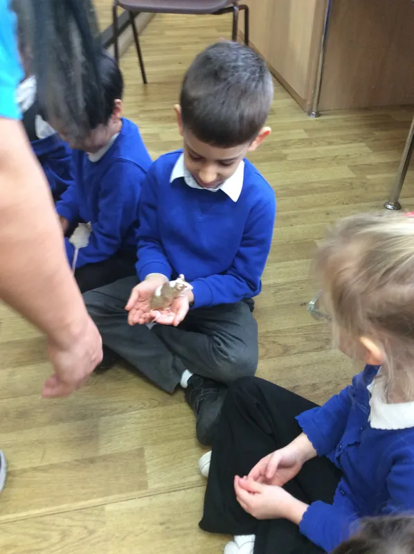 Gallery - created at 2024-03-05 13:52:56 - image 65 Gallery - created at 2024-03-05 13:52:56 - image 65