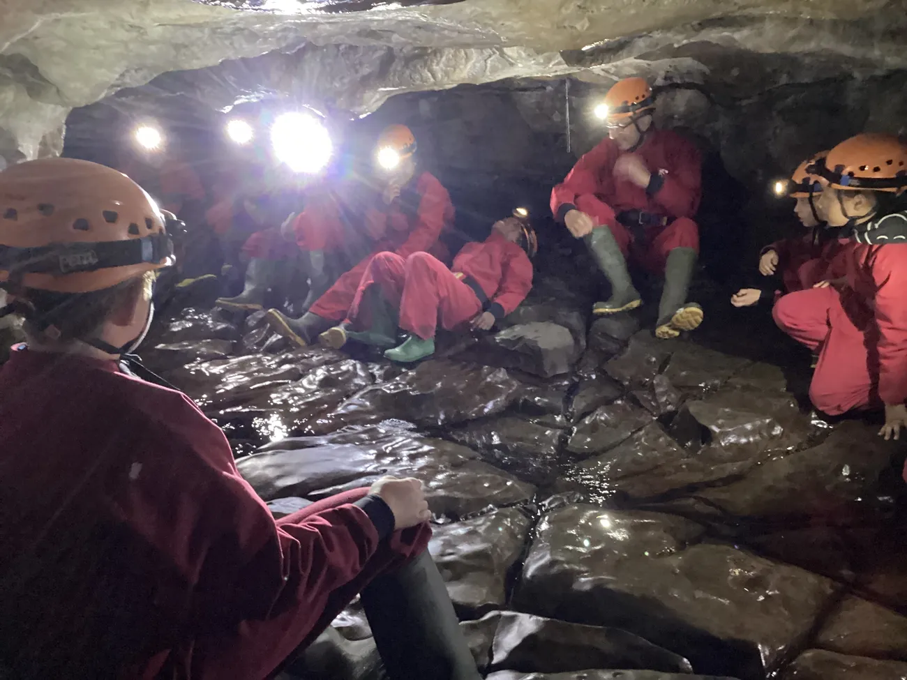 Gallery - created at 2024-09-19 19:43:35 - image 16 Gallery - created at 2024-09-19 19:43:35 - image 16