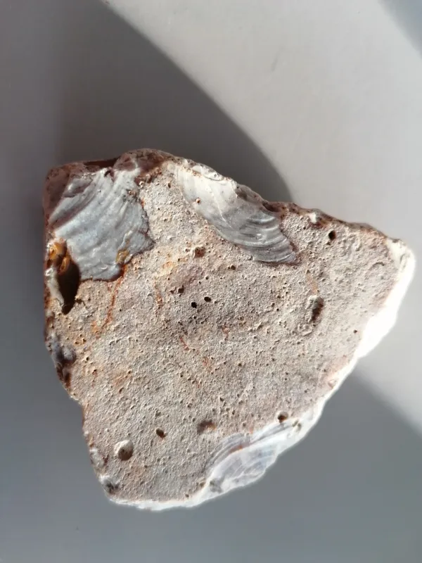 Gallery - created at 2021-02-25 08:10:48 - image 5