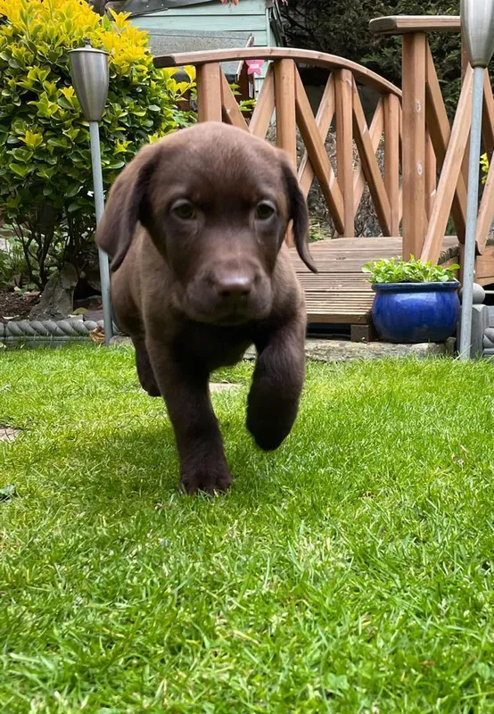 Gallery - created at 2021-06-30 13:57:57 - image 21