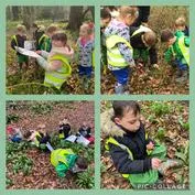 Forest School 14 - image 1 Forest School 14 - image 1