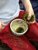 Forest School 151 - image 3 Forest School 151 - image 3