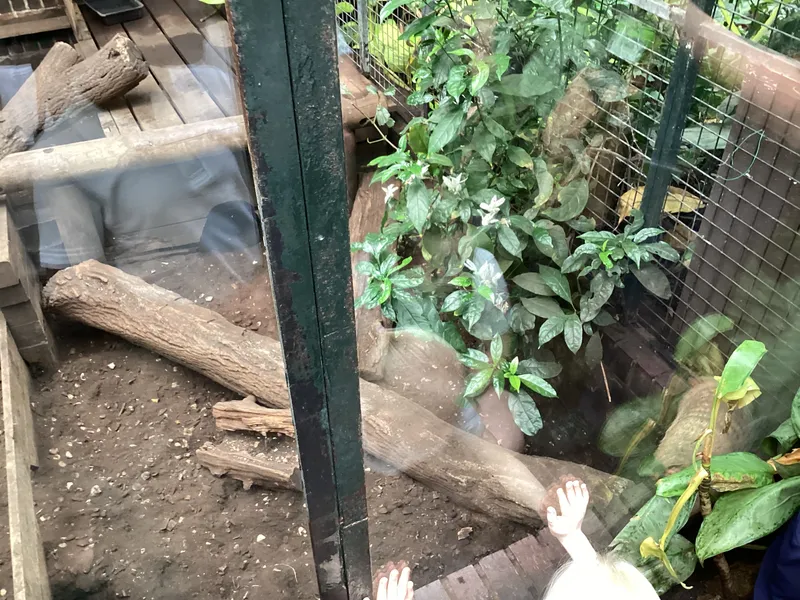 Gallery - created at 2025-03-14 10:11:21 - image 20 Gallery - created at 2025-03-14 10:11:21 - image 20