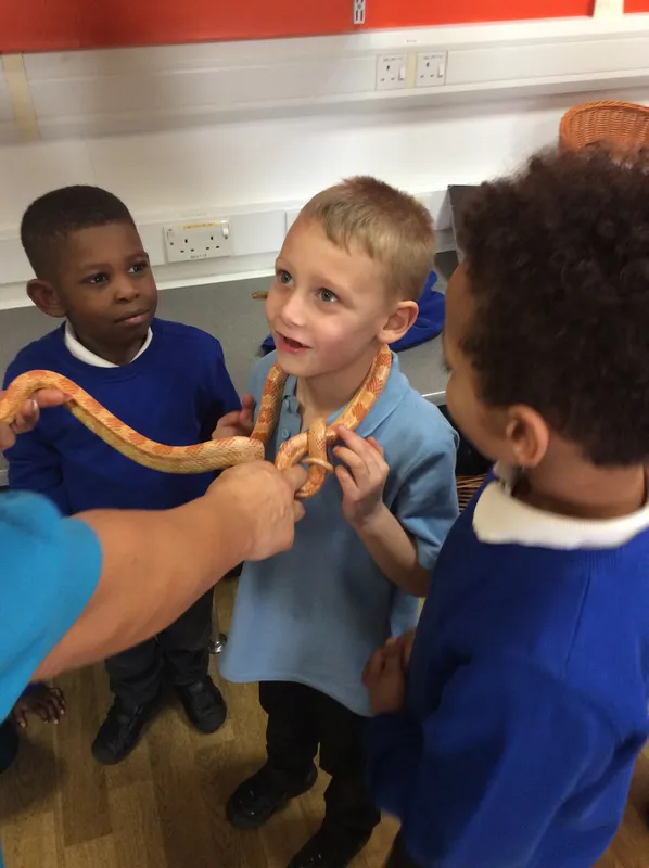 Gallery - created at 2024-03-05 13:52:56 - image 10 Gallery - created at 2024-03-05 13:52:56 - image 10