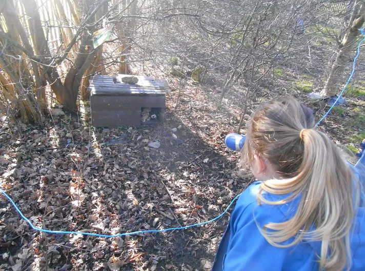 Forest School - image 11