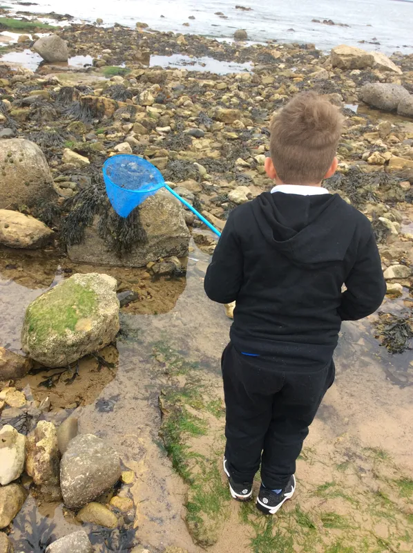 Gallery - created at 2024-05-23 10:29:28 - image 16