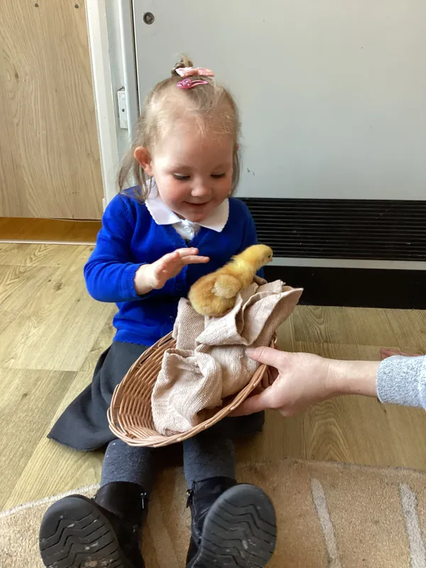 Gallery - created at 2025-04-08 15:36:47 - image 35