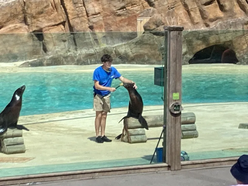 Blackpool zoo - image 5