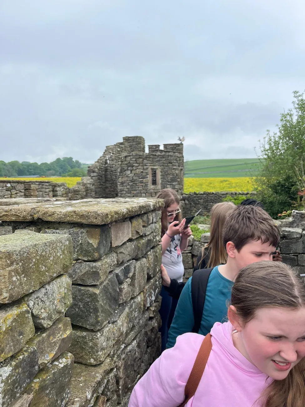 Gallery - created at 2024-06-06 15:19:10 - image 21