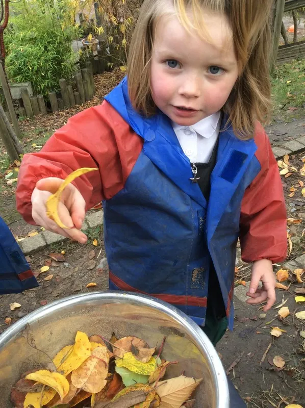 Gallery - created at 2024-02-15 10:37:57 - image 22 Gallery - created at 2024-02-15 10:37:57 - image 22