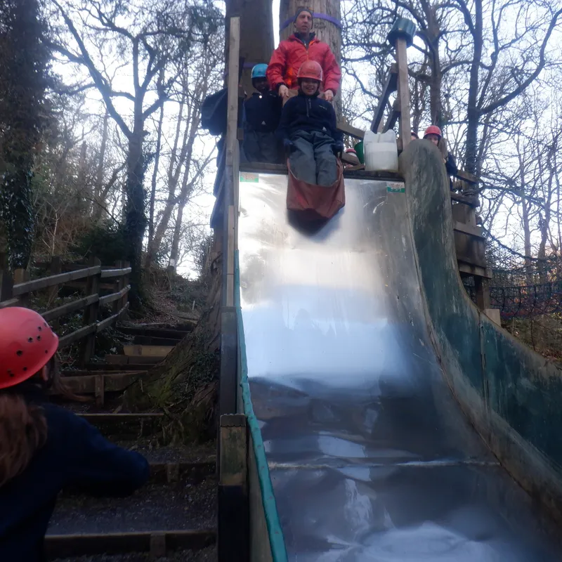 Gallery - created at 2025-02-27 19:57:56 - image 1