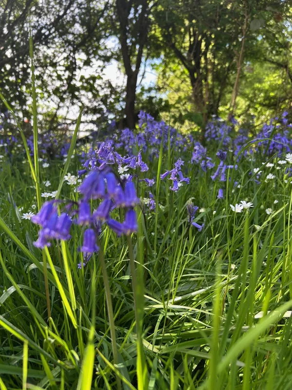 Gallery - created at 2025-05-02 12:16:59 - image 10