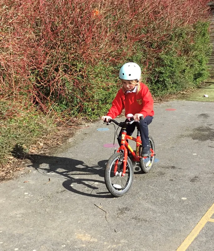 Gallery - created at 2023-03-19 16:00:36 - image 5