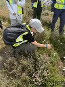 Forest School 63 - image 7 Forest School 63 - image 7