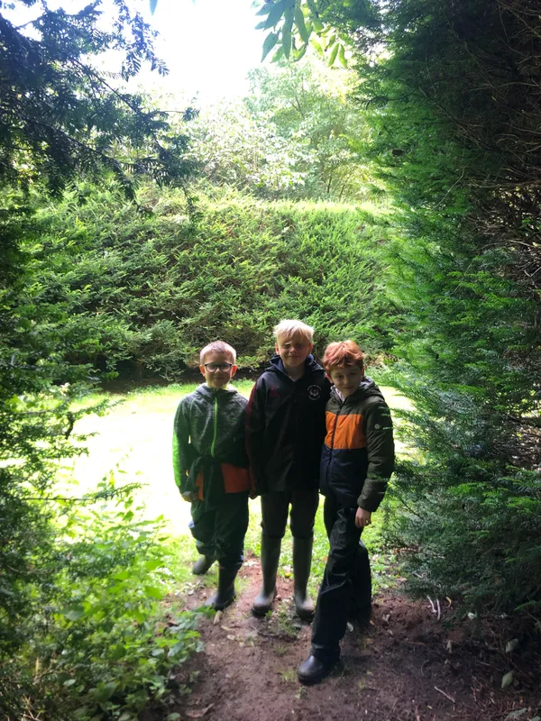 Gallery - created at 2023-10-11 14:12:24 - image 6