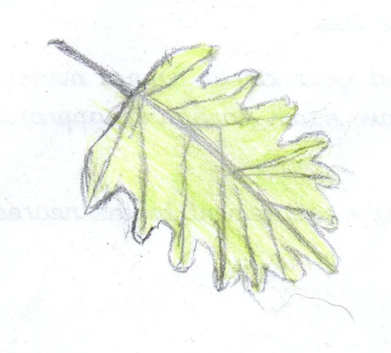 Gallery - created at 2021-09-13 10:32:40 - image 2