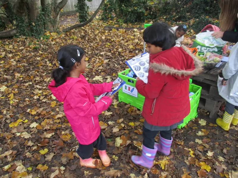 Forest School Fun Year 1 - image 11 Forest School Fun Year 1 - image 11