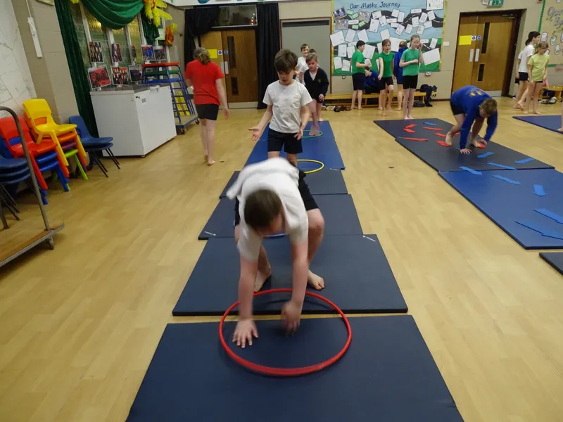 Ospreys Gymnastics Skills - image 15 Ospreys Gymnastics Skills - image 15