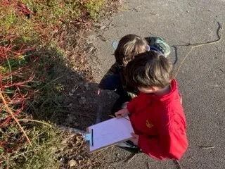 Gallery - created at 2023-01-24 16:02:32 - image 13