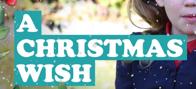 Sheffield Pupils - Christmas Safety Plea