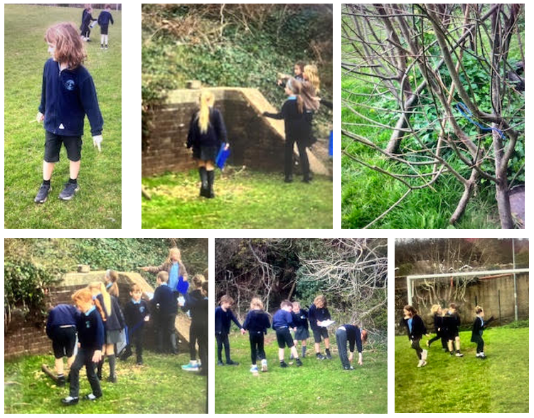 Bristish Science Week 2025