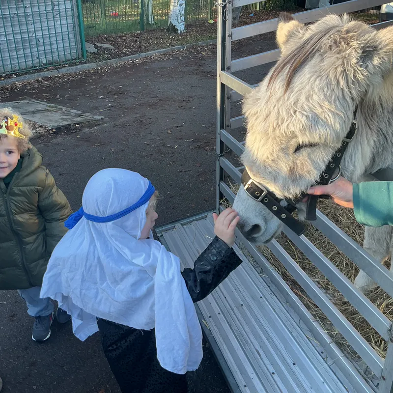 Stella farm on wheels Part 1 - image 37