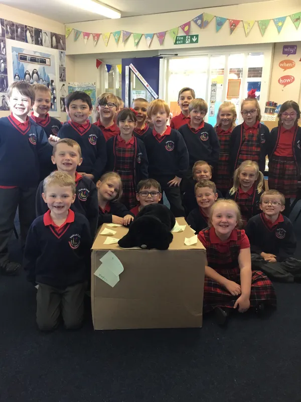 Gallery - created at 2020-09-29 12:07:04 - image 1 Gallery - created at 2020-09-29 12:07:04 - image 1