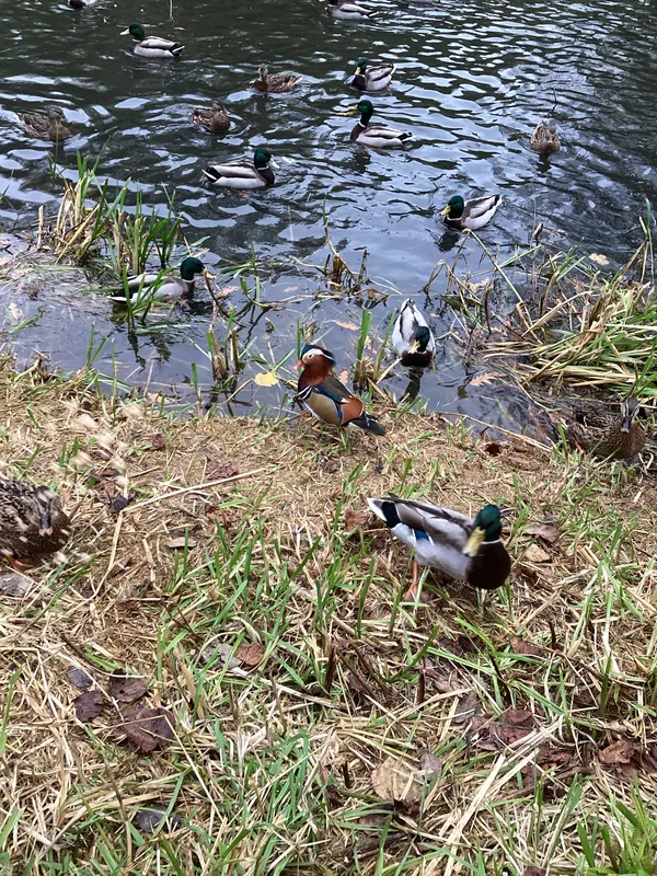 Gallery - created at 2024-11-08 10:10:59 - image 13 Gallery - created at 2024-11-08 10:10:59 - image 13