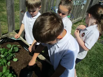 Planting - image 21