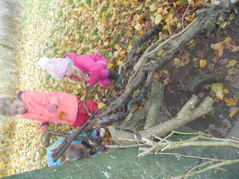 Gallery - created at 2019-11-14 13:10:46 - image 19 Gallery - created at 2019-11-14 13:10:46 - image 19