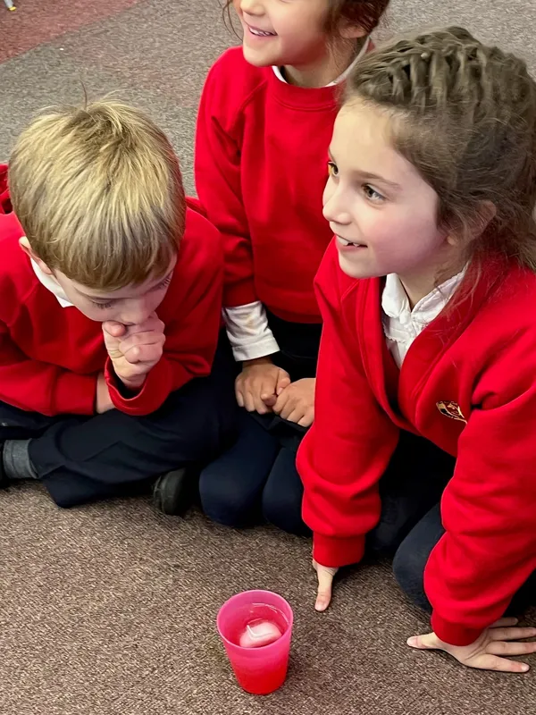 Gallery - created at 2023-01-27 11:11:24 - image 2