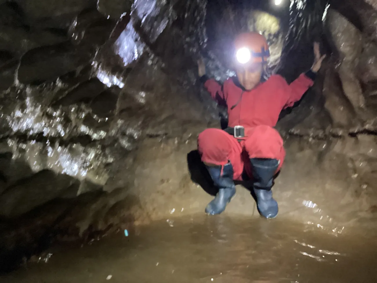 Gallery - created at 2024-09-19 19:43:35 - image 3 Gallery - created at 2024-09-19 19:43:35 - image 3