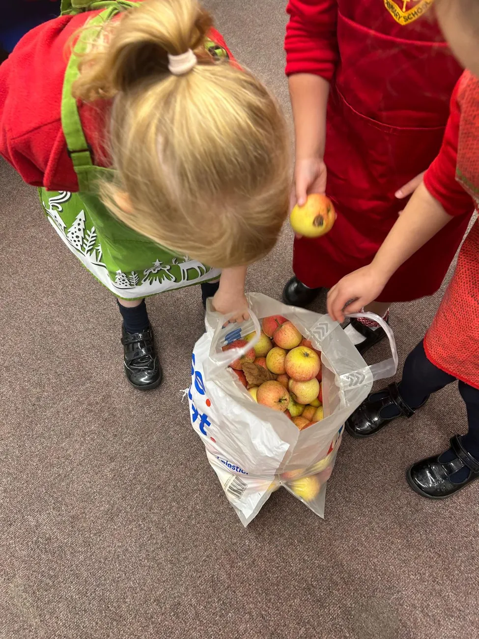 Gallery - created at 2024-02-24 08:52:14 - image 7 Gallery - created at 2024-02-24 08:52:14 - image 7