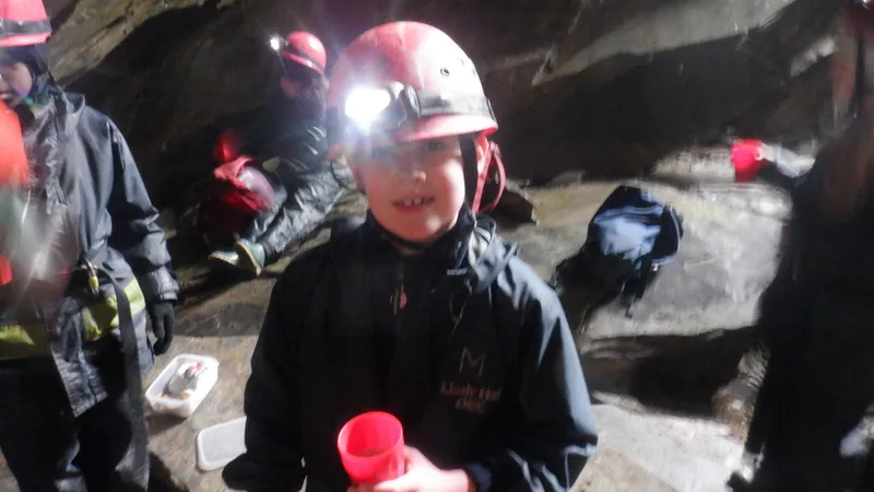 Gallery - created at 2024-02-28 19:37:21 - image 32 Gallery - created at 2024-02-28 19:37:21 - image 32