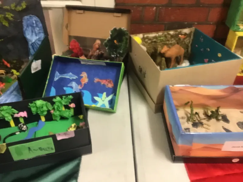 Gallery - image 5
