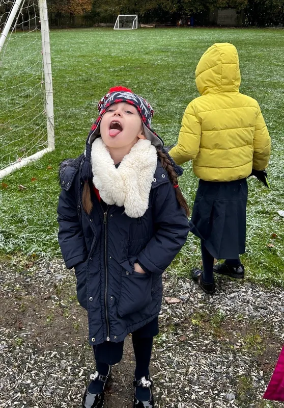 Gallery - created at 2024-11-22 07:00:31 - image 2