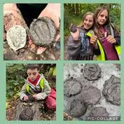 Forest School 5 - image 1 Forest School 5 - image 1