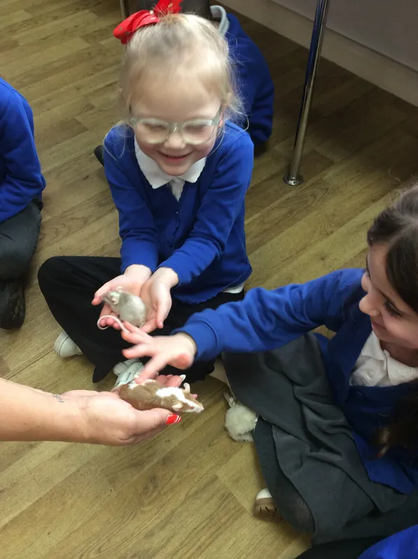 Gallery - created at 2024-03-05 13:52:56 - image 64 Gallery - created at 2024-03-05 13:52:56 - image 64