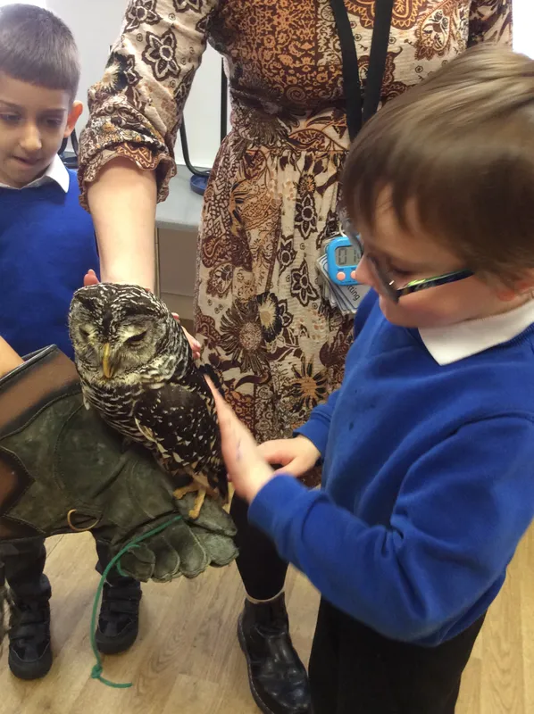 Gallery - created at 2024-02-26 17:15:57 - image 30 Gallery - created at 2024-02-26 17:15:57 - image 30