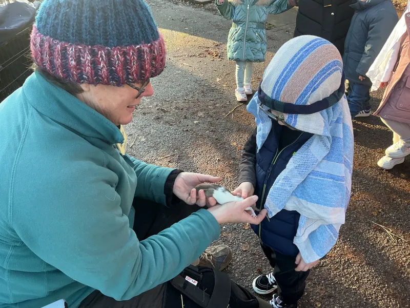 Stella farm on wheels Part 1 - image 33