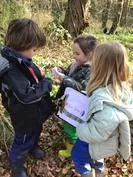 Forest School 104 - image 4 Forest School 104 - image 4