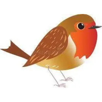 Robin Class      Reception / Year 1