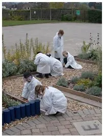 Gallery - created at 2018-01-17 17:01:23 - image 10