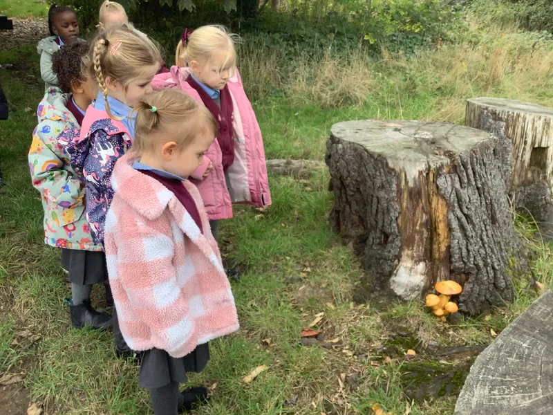 Nursery RE Creation - image 5 Nursery RE Creation - image 5